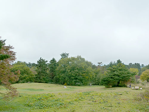 新義真言宗‐総本山・根来寺の山門